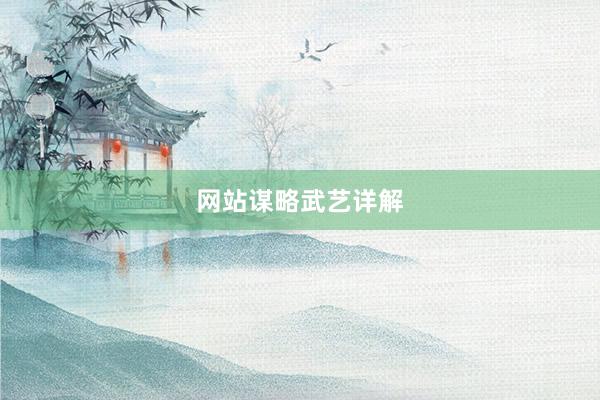 网站谋略武艺详解