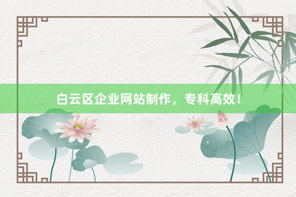 白云区企业网站制作，专科高效！