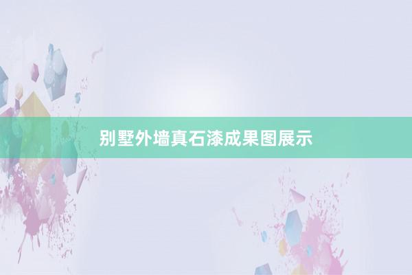 别墅外墙真石漆成果图展示