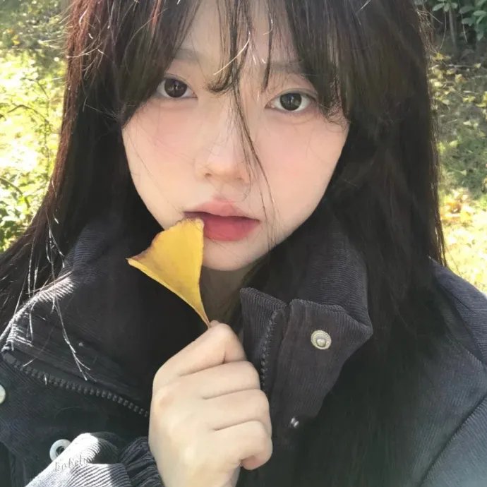 雪中的奇羊